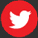 Japanese voice over twitter